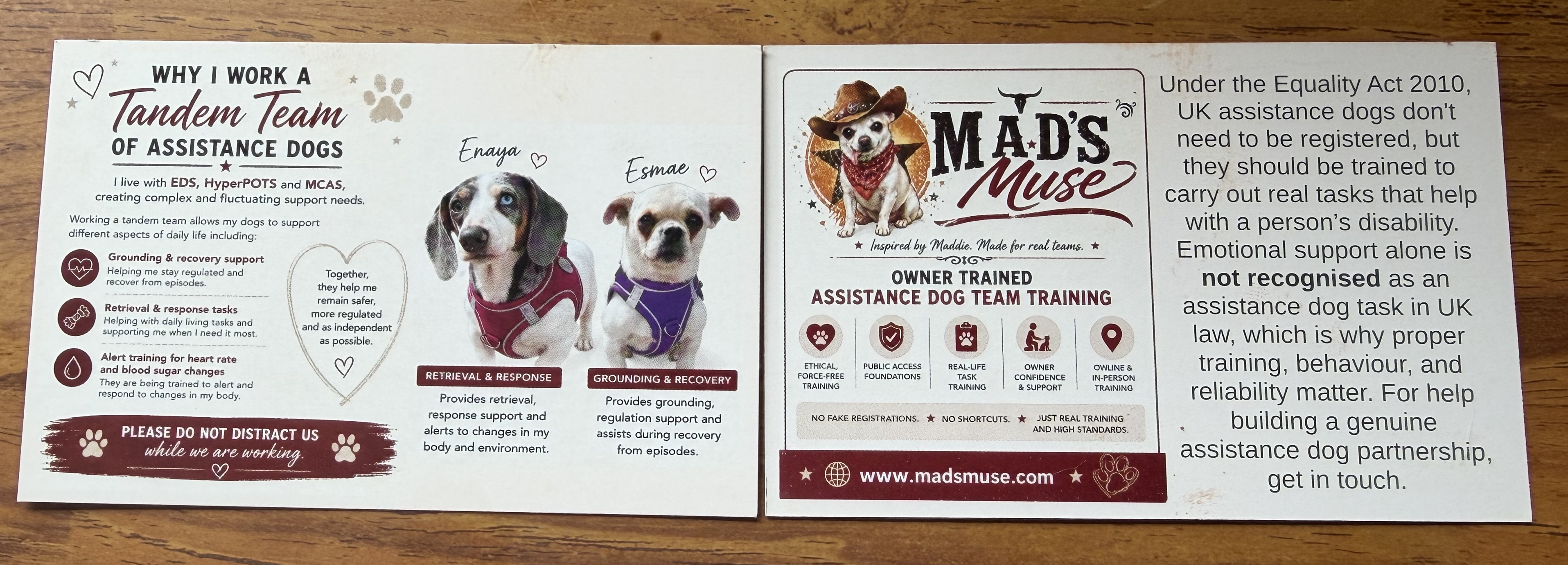 Why I work a tandem team of assistance dogs — Mad's Muse access card